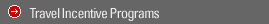 Travel Incentive Programs